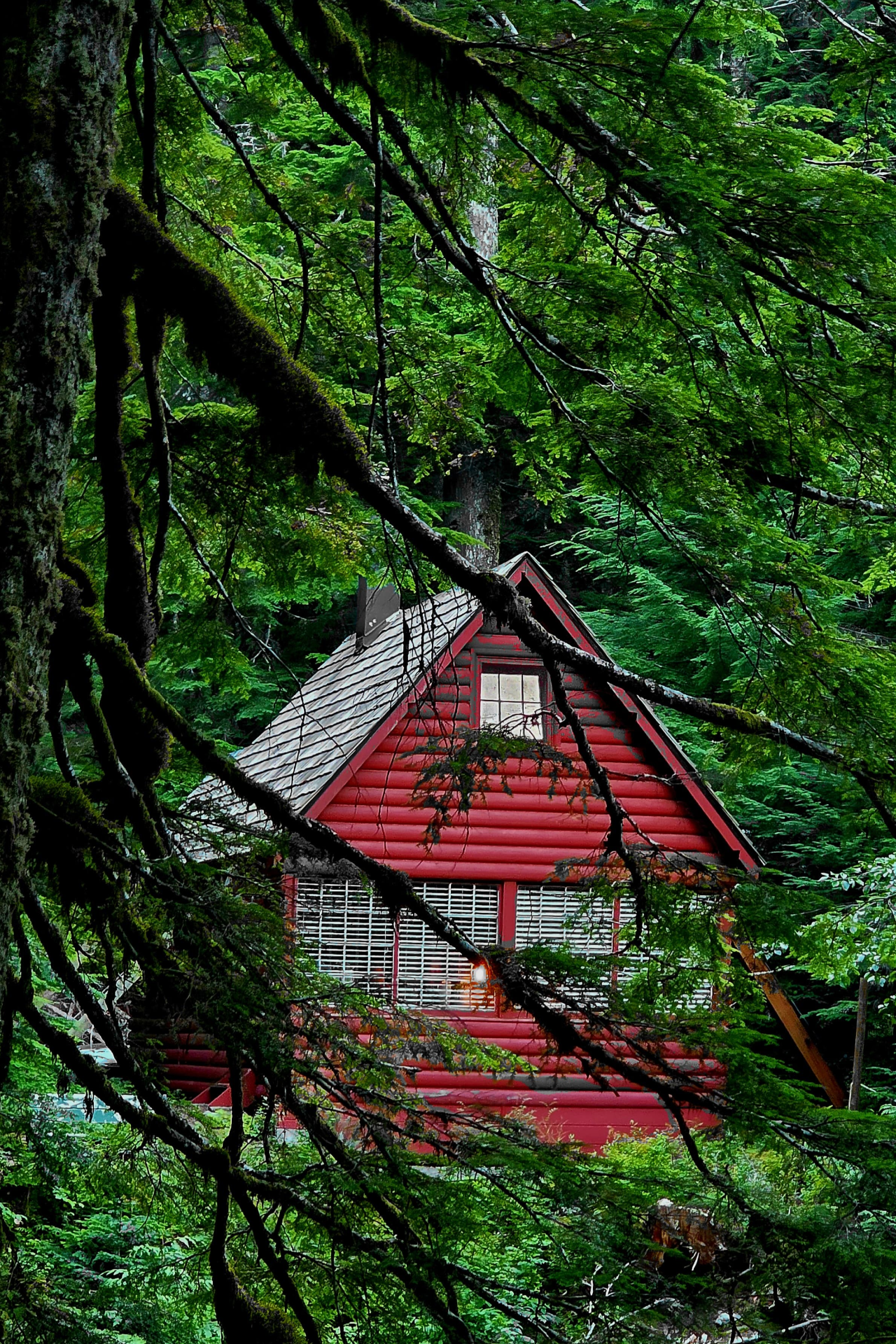 nature